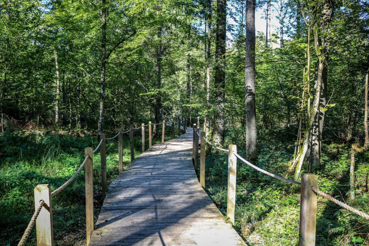 Lesna 21 Dom Polnoc Przy Zalew Siemianowka Villa Luka Luaran gambar
