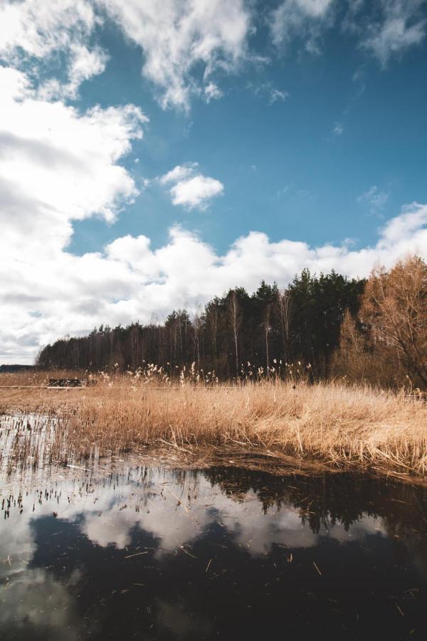 Lesna 21 Dom Polnoc Przy Zalew Siemianowka Villa Luka Luaran gambar